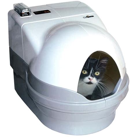 covered electric cat litter box|best automatic litter box for multiple cats.